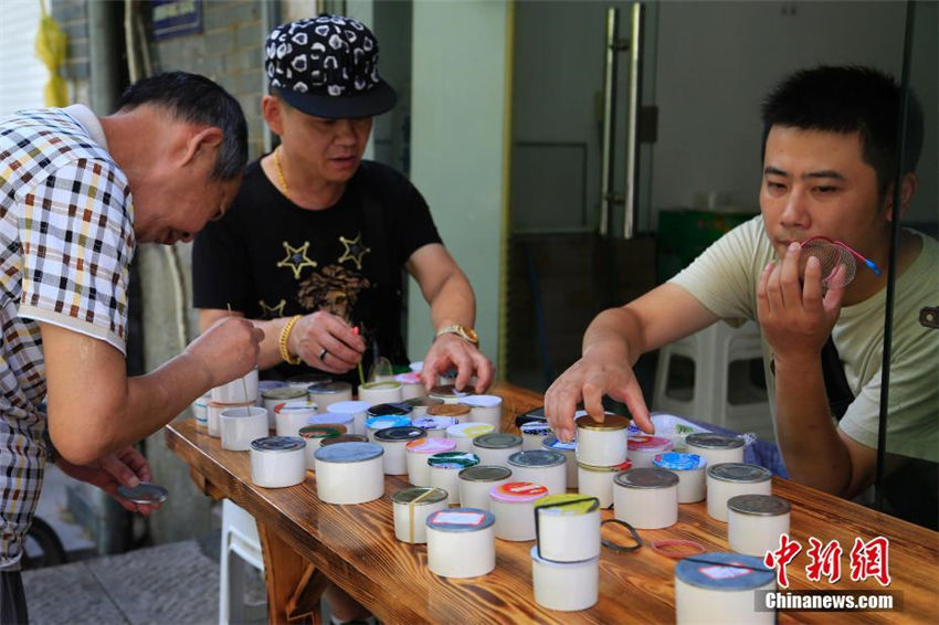 コオロギ市で今年の初売り開始、最高価格數(shù)千元のコオロギも　杭州市