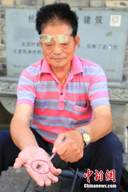 コオロギ市で今年の初売り開始、最高価格數千元のコオロギも　杭州市