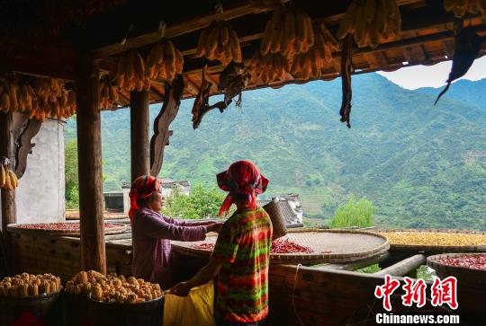 「中國(guó)で最も美しい村」、秋の収穫期を迎える　江西省