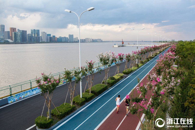 杭州の最も美しいランニングコースでサルスベリが満開に