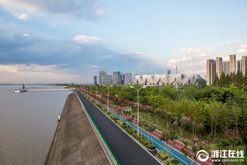 杭州の最も美しいランニングコースでサルスベリが満開に