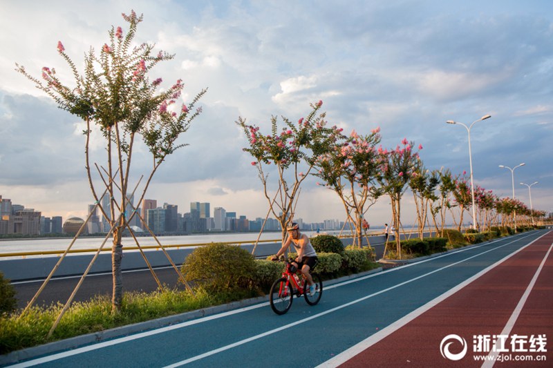 杭州の最も美しいランニングコースでサルスベリが満開に