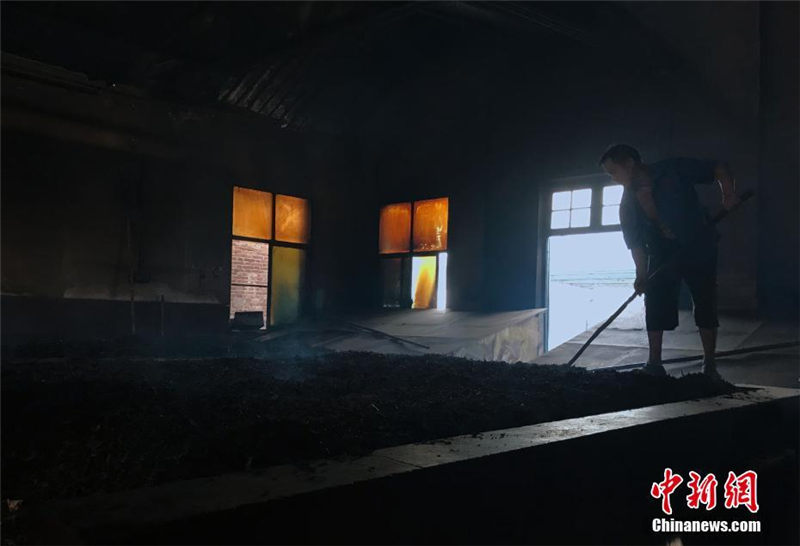 中國のハイエンド黒茶が誕生するまで