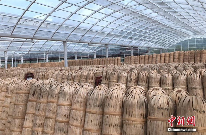 中國のハイエンド黒茶が誕生するまで