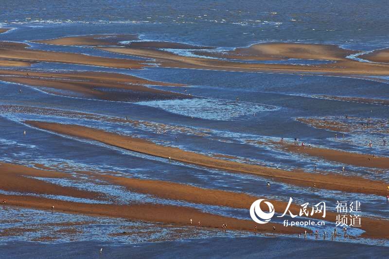 「アモイの美しさを世界に発信」　10年で10萬枚の寫真を撮影した男性