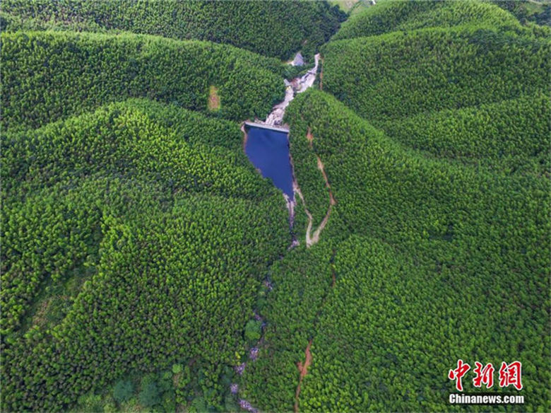 ドローンで撮影した贛江の水源　江西省