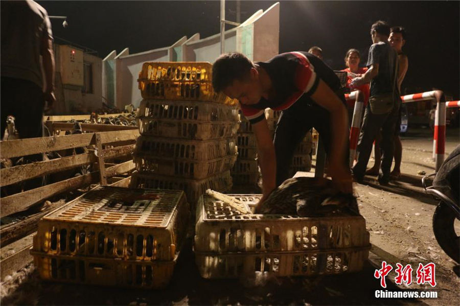 「鬼節(jié)」の風(fēng)習(xí)でアヒルが飛ぶように売れる広西チワン自治區(qū)