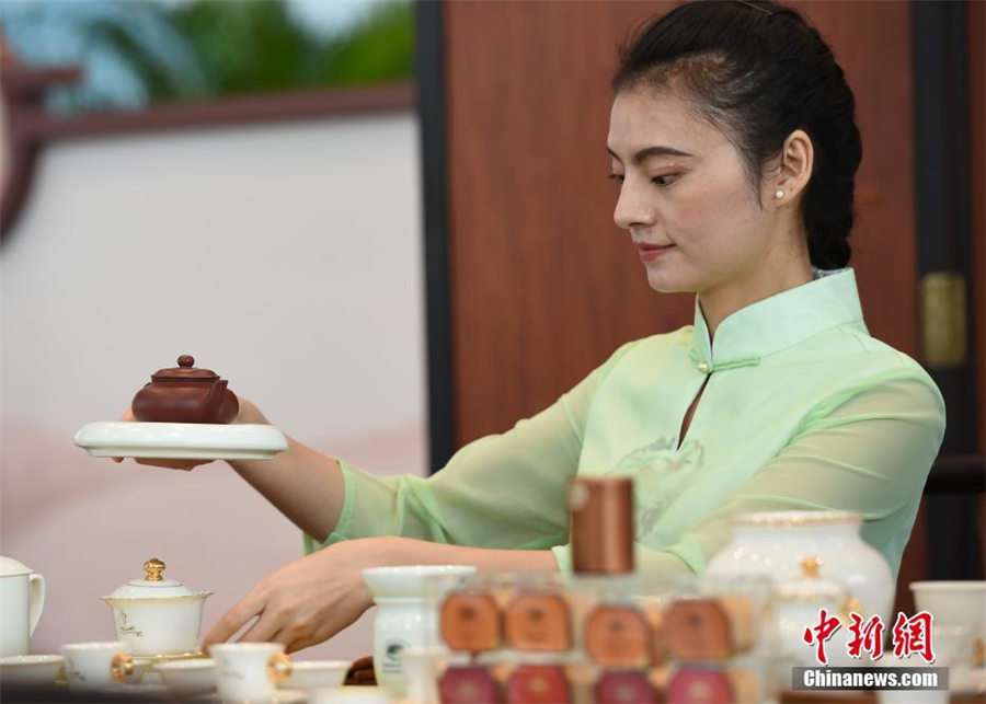 BRICS會(huì)議のメディアセンターで「BRICSな茶會(huì)」　廈門(mén)市