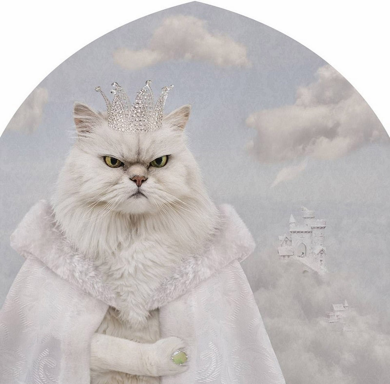 豪州の動物寫真コンテスト　かわいい動物たちが大集合！