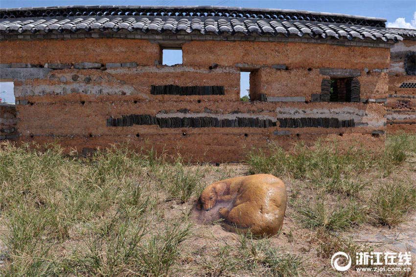 本物ソックリ！？金華市に「石の動物園」登場　浙江省
