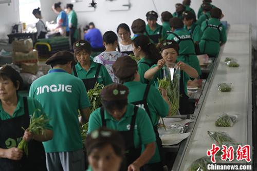 厳しい條件の「注文式農(nóng)業(yè)」が話題　新鮮な商品をその日に販売　上海