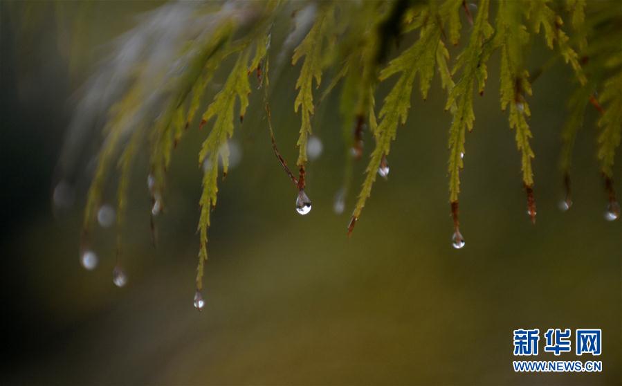 秋雨が降り、秋が深まる揚州市