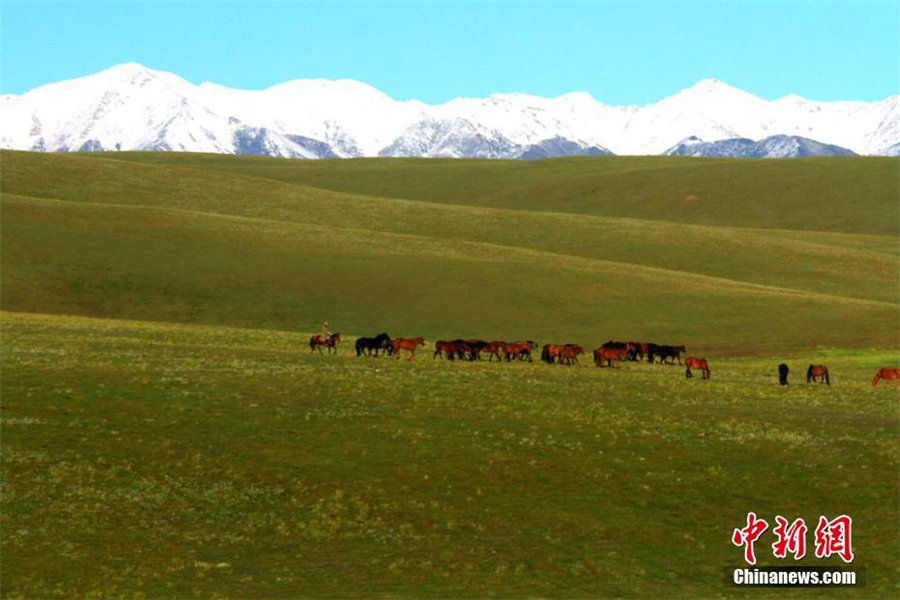 9月の祁連山、「初冠雪」を観測　甘粛省