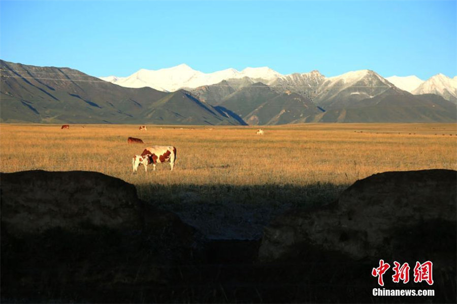 9月の祁連山、「初冠雪」を観測　甘粛省