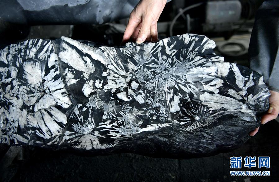 菊の模様を丁寧に彫り上げ、見事な蕓術(shù)作品に　湖北省