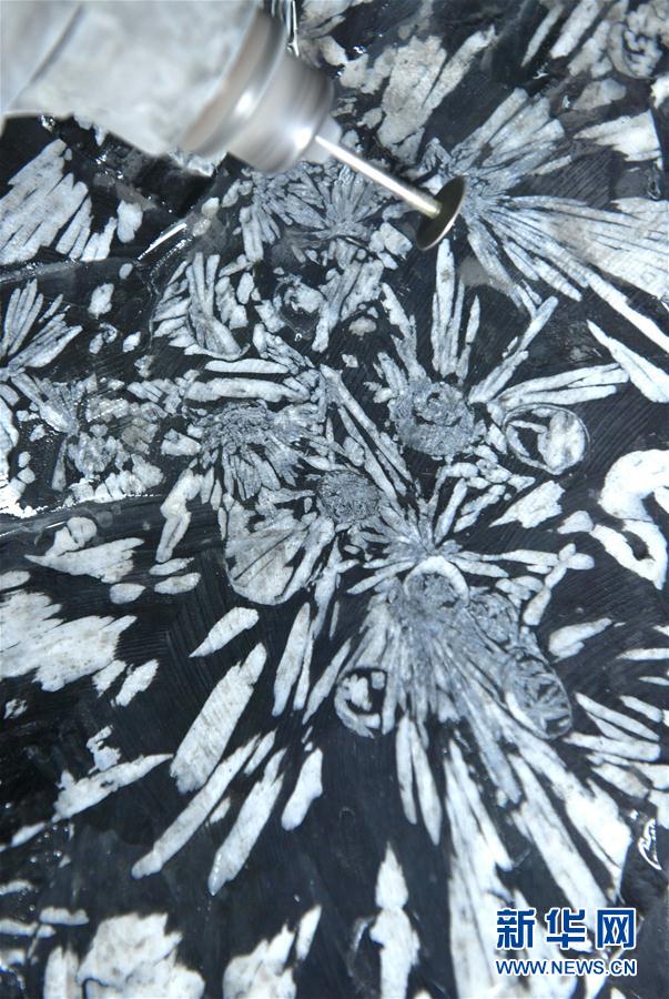 菊の模様を丁寧に彫り上げ、見(jiàn)事な蕓術(shù)作品に　湖北省