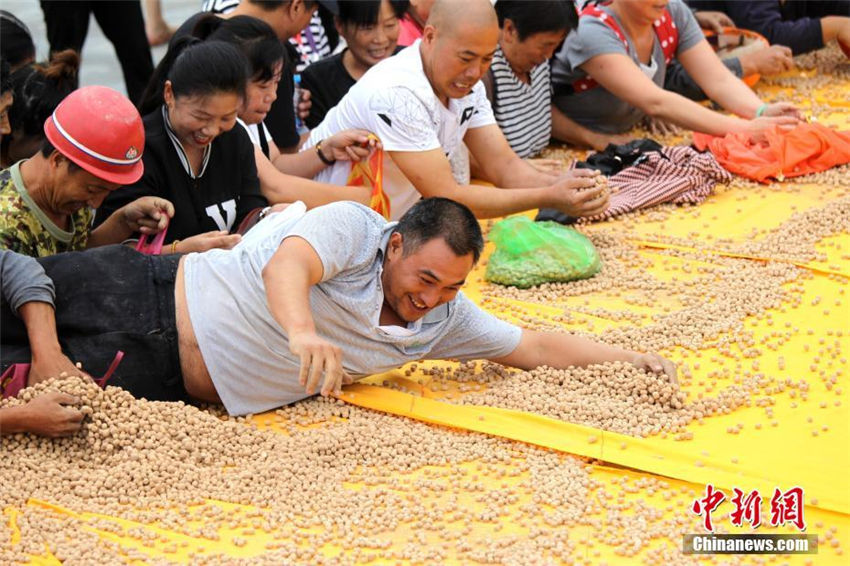 王屋山で「土」食い大會開催　約2トンの土饝を千人で山分け　河南省