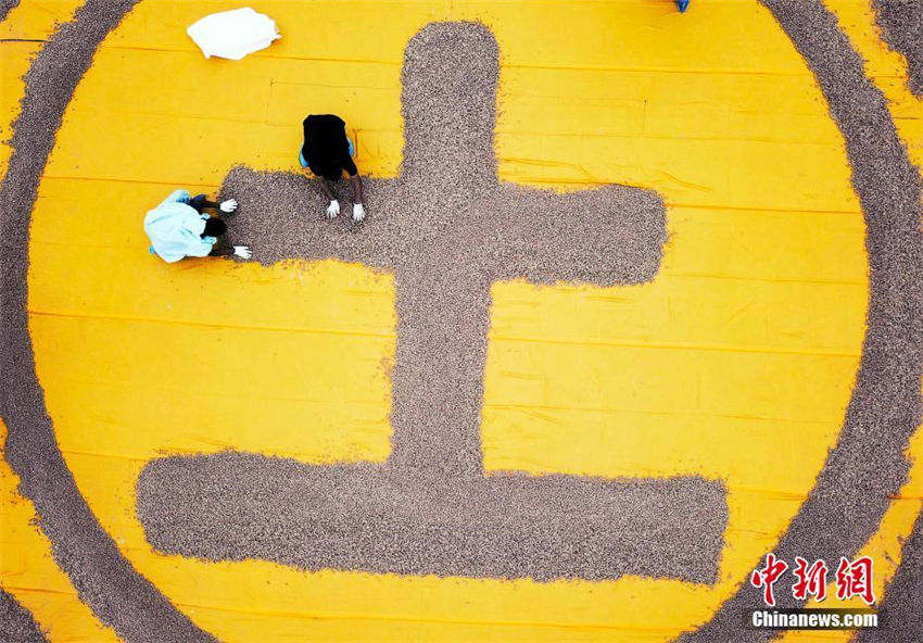 王屋山で「土」食い大會(huì)開催　約2トンの土饝を千人で山分け　河南省