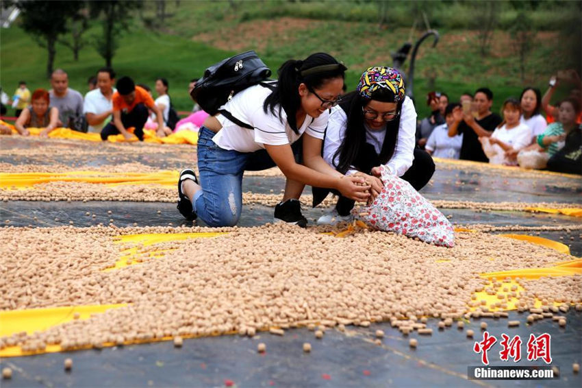 王屋山で「土」食い大會(huì)開催　約2トンの土饝を千人で山分け　河南省