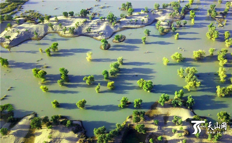 色彩鮮やかな初秋のタリム川　新疆