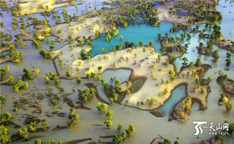 色彩鮮やかな初秋のタリム川　新疆