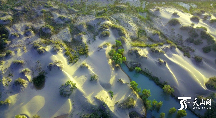 色彩鮮やかな初秋のタリム川　新疆