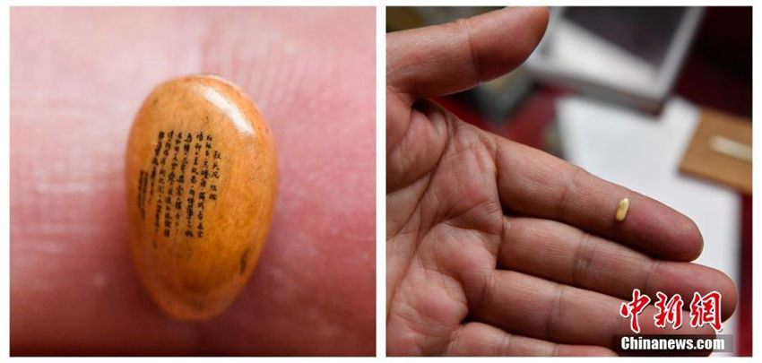 米粒や髪の毛に字を書く雲(yún)南省のアーティスト冉隆泉さん