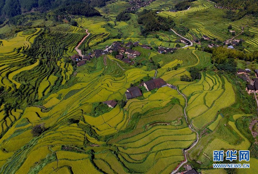 福建省の村に秋の訪れ　色とりどりに染まる棚田