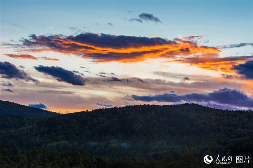 9月の仙境、モリダガ國(guó)家森林公園　內(nèi)モンゴル