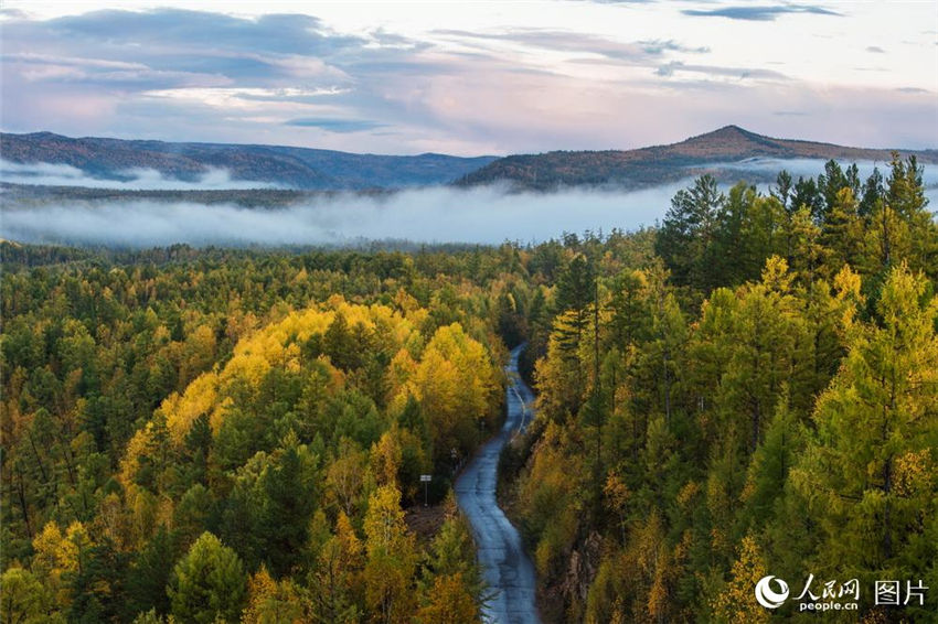 9月の仙境、モリダガ國(guó)家森林公園　內(nèi)モンゴル