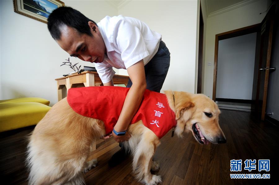 盲導(dǎo)犬「毛毛」の1日に密著