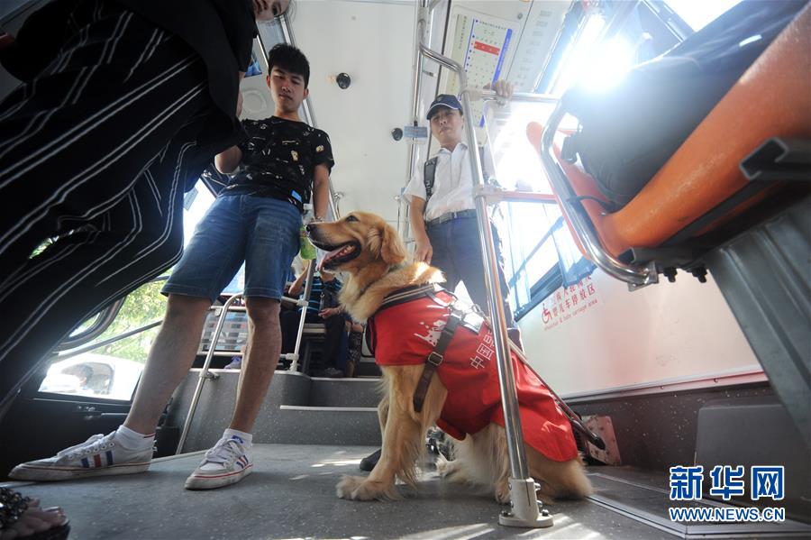 盲導犬「毛毛」の1日に密著
