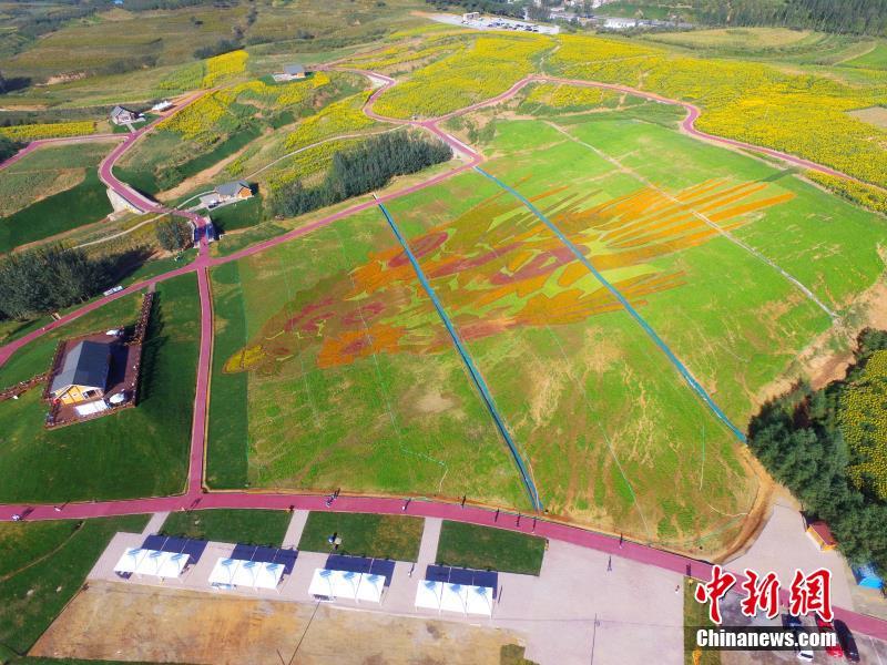 ゴッホの名畫「ひまわり」がひまわり畑に出現(xiàn)　河北省