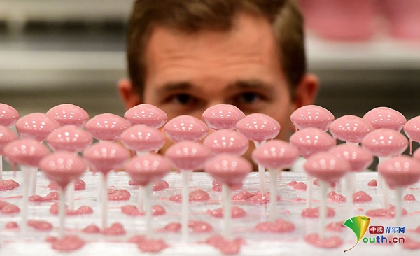 カカオ本來の色だけで作られたピンクのチョコ「ルビー」誕生　ベルギー