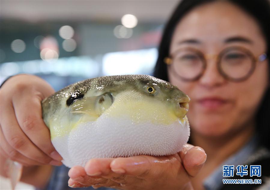 江蘇省海安県のフグ、観光業(yè)の看板に