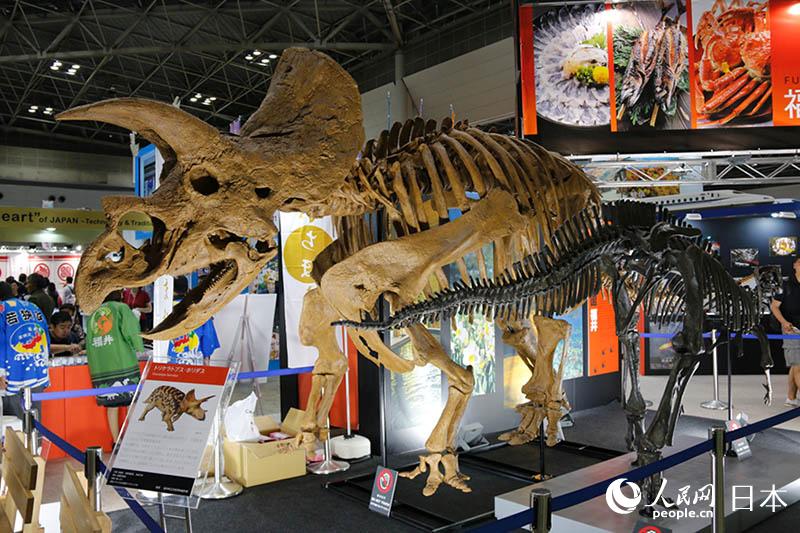 「ツーリズムEXPOジャパン2017」が東京で開催　中國からも多くの代表団派遣