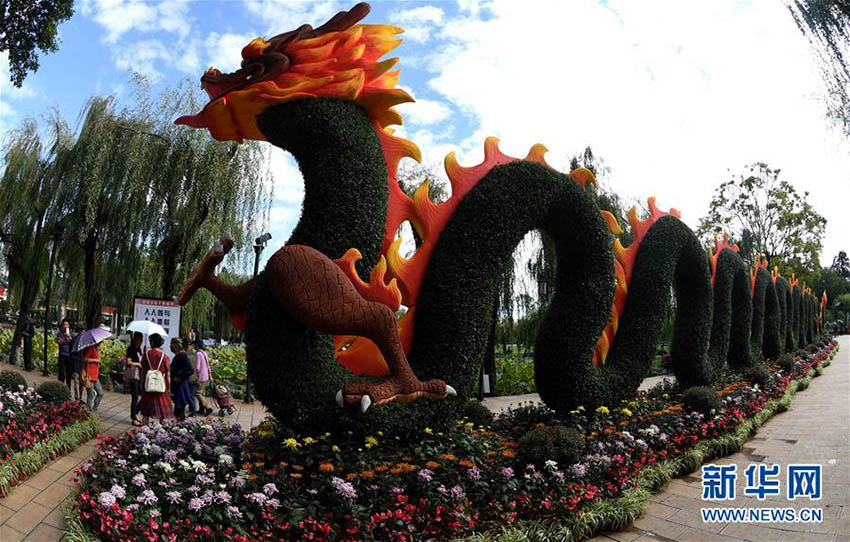 昆明市大観園、3萬鉢以上の菊の花で國慶節(jié)の到來待つ　雲(yún)南省