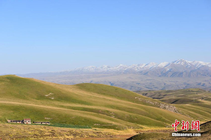甘粛の草原に秋の雪、一面の銀世界に