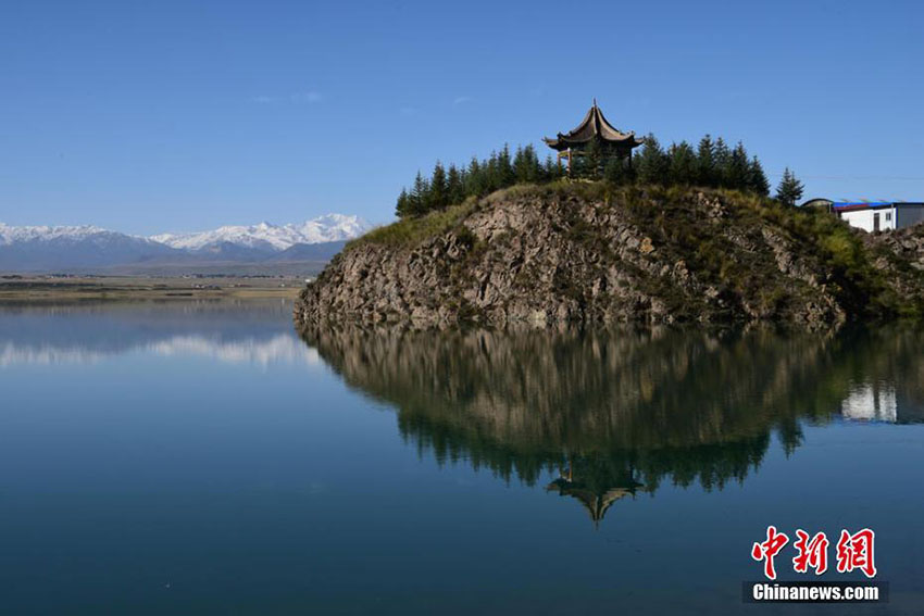 甘粛の草原に秋の雪、一面の銀世界に