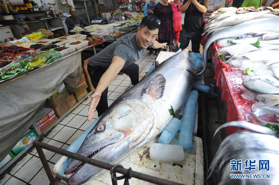 青島の大型スーパーに巨大なサワラとハモが登場　人々の注目の的に