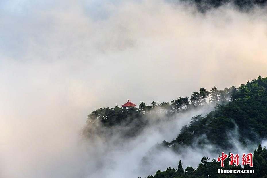 雲(yún)霧に包まれた幻想的な風(fēng)景　世界でも名高い廬山の雲(yún)海