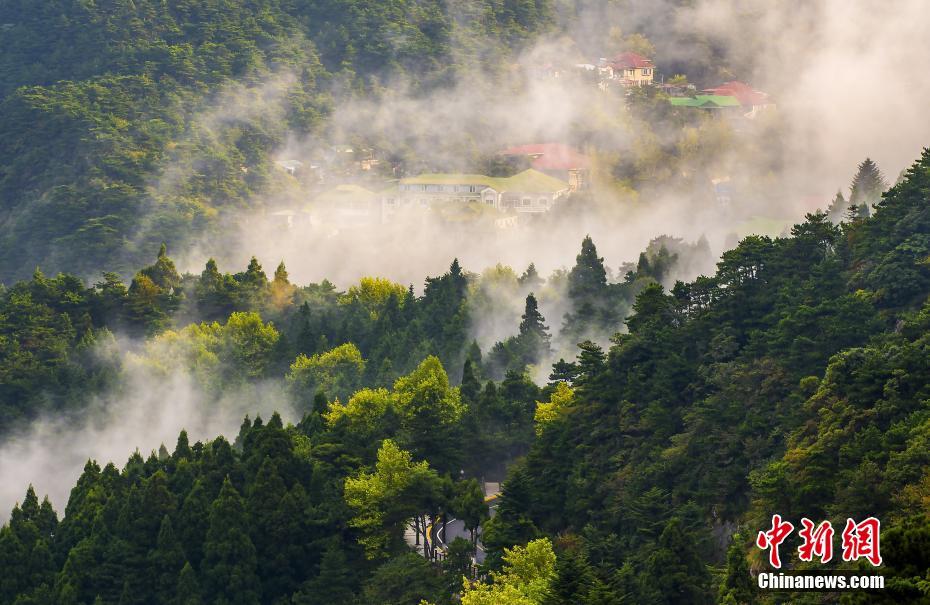 雲(yún)霧に包まれた幻想的な風(fēng)景　世界でも名高い廬山の雲(yún)海