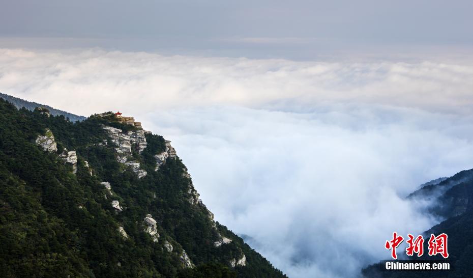 雲(yún)霧に包まれた幻想的な風景　世界でも名高い廬山の雲(yún)海