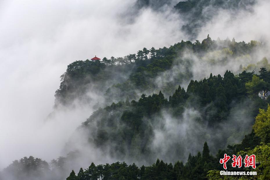 雲(yún)霧に包まれた幻想的な風(fēng)景　世界でも名高い廬山の雲(yún)海