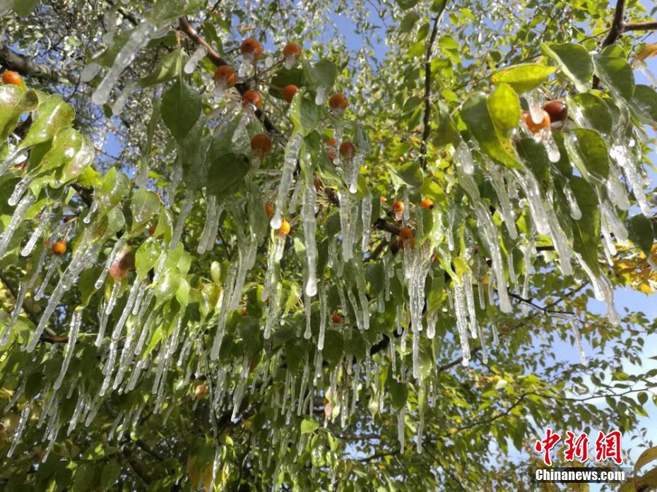 中國(guó)北方の広い範(fàn)囲で雨模様、初雪観測(cè)も多數(shù)