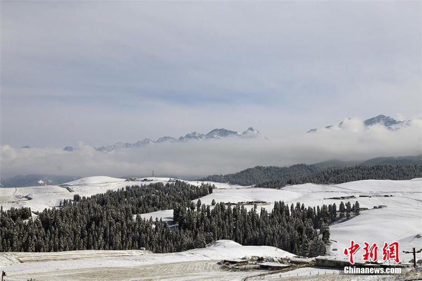 一面の銀世界、新疆の景勝地が一足先に冬景色に模様替え