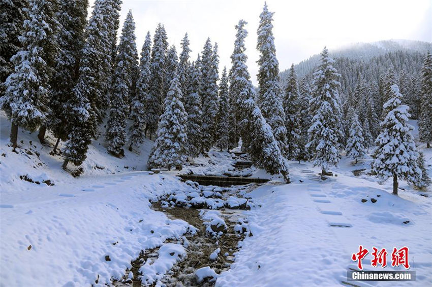 一面の銀世界、新疆の景勝地が一足先に冬景色に模様替え
