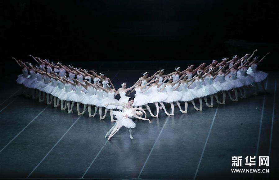 上海バレエ団が中國版「白鳥の湖」を披露　ヨーロッパで40回公演達成