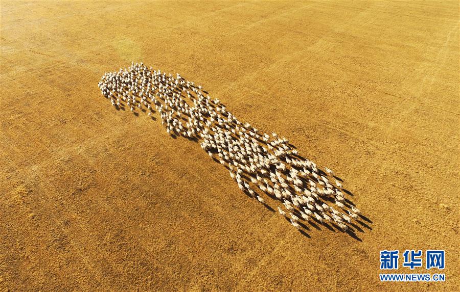 中國各地の美しい秋の景色