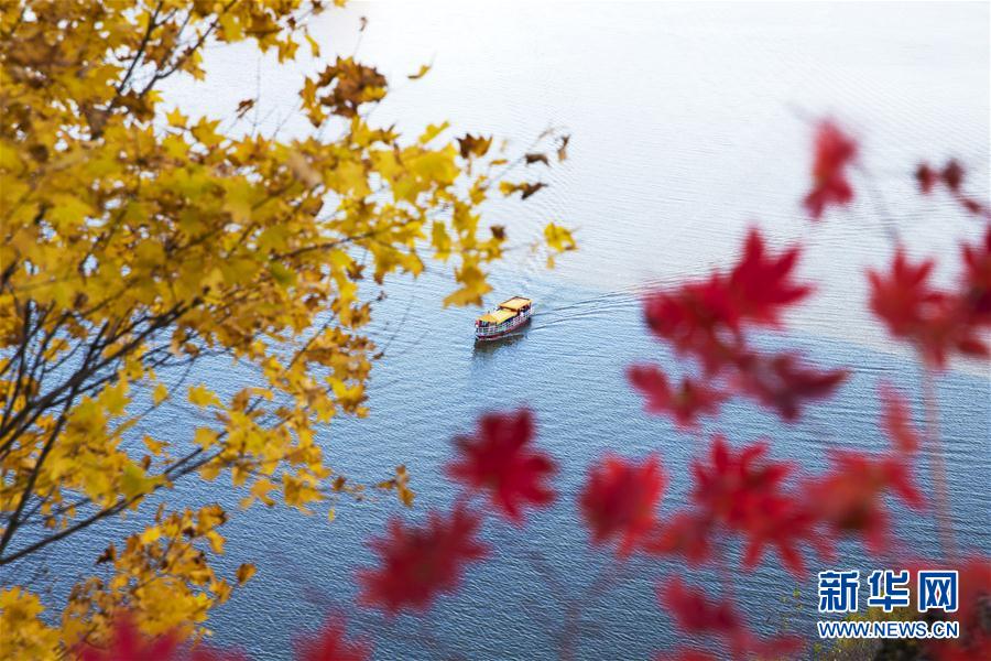 中國(guó)各地の美しい秋の景色